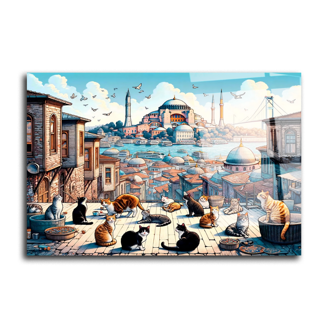 Chats d'istanbul